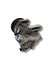 Compressore clima Toyota Rav 4 2.2 diesel (2006 - 2013) cod.447260 - 1257 - F&P CRASH SRLS - Ricambi Usati