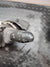 Devioluci Lancia Delta III 2009 cod 7354737730 ( con tasto trip ) - F&P CRASH SRLS - Ricambi Usati
