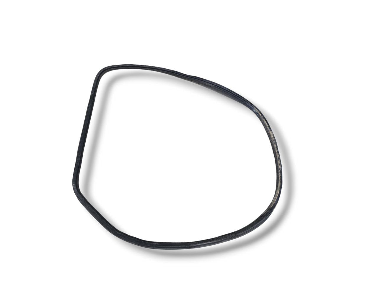 Guarnizione Portiera Posteriore Sinistra Citroen C4 Grand Picasso (2013 - 2022) - F&P CRASH SRLS - Ricambi Usati