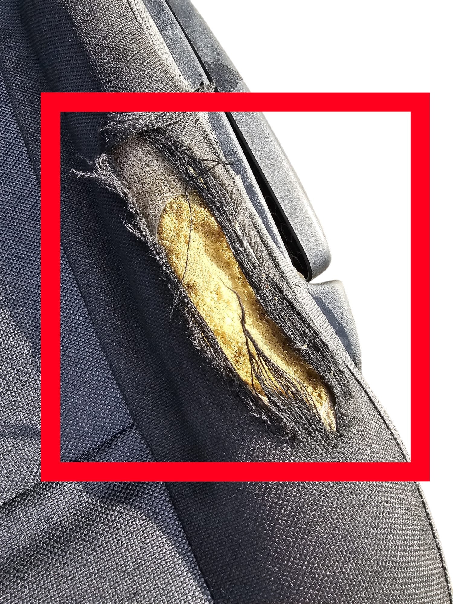 Tappezzeria / Sedili in stoffa Renault Master III (2010 - 2019) - F&P CRASH SRLS - Ricambi Usati
